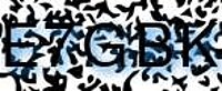 grafischer Sicherheitscode