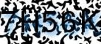 grafischer Sicherheitscode