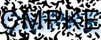 grafischer Sicherheitscode