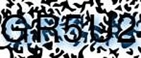 grafischer Sicherheitscode